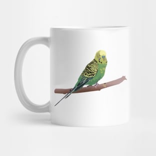 Budgerigar Parrot Mug